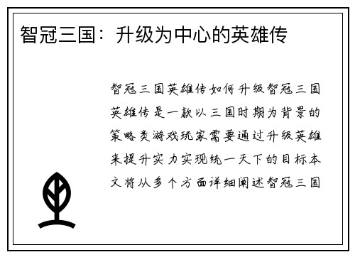 智冠三国：升级为中心的英雄传